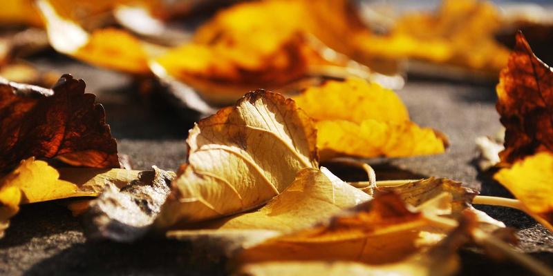 【2025年最新】AI責任者・データアノテーターの求人が急増中！AI時代に生き残るための転職戦略を徹底解説