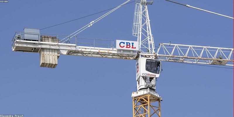 犬の飼い方入門：初心者が押さえておくべき基本としつけの全ガイド