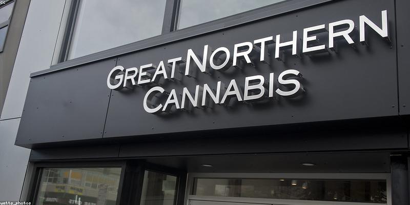 セルフパロディー動画制作の選択肢と比較