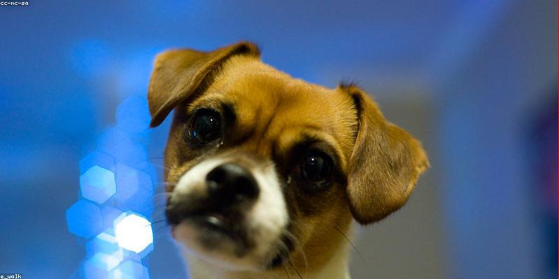 AI投資の内訳と使途：何にお金をかけているのか